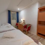 Tavba -gocar Az 27 Osob, 8 Apartmanu,8 Koupelen, 8 Kuchyni Na Kraji Lesa Holiday home