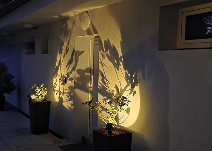 Tavba -gocar Az 27 Osob, 8 Apartmanu,8 Koupelen, 8 Kuchyni Na Kraji Lesa